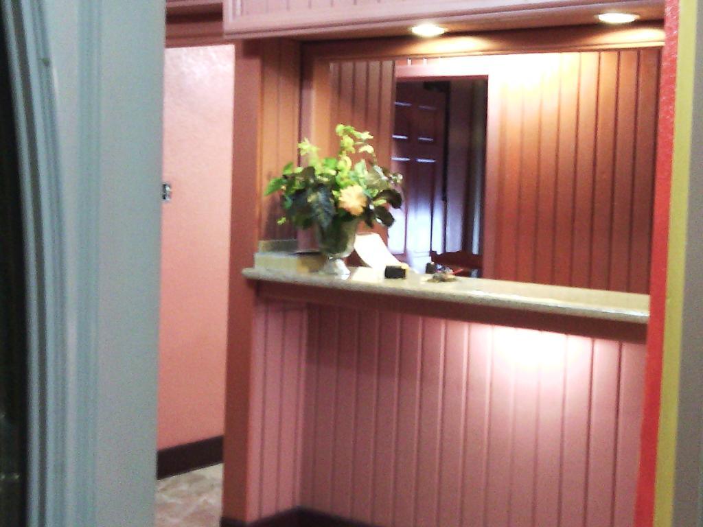 Hotel Tropik Leadonna モンテゴ・ベイ エクステリア 写真